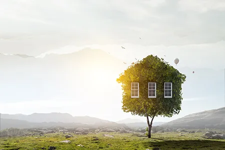 A guide to making your rented property greener