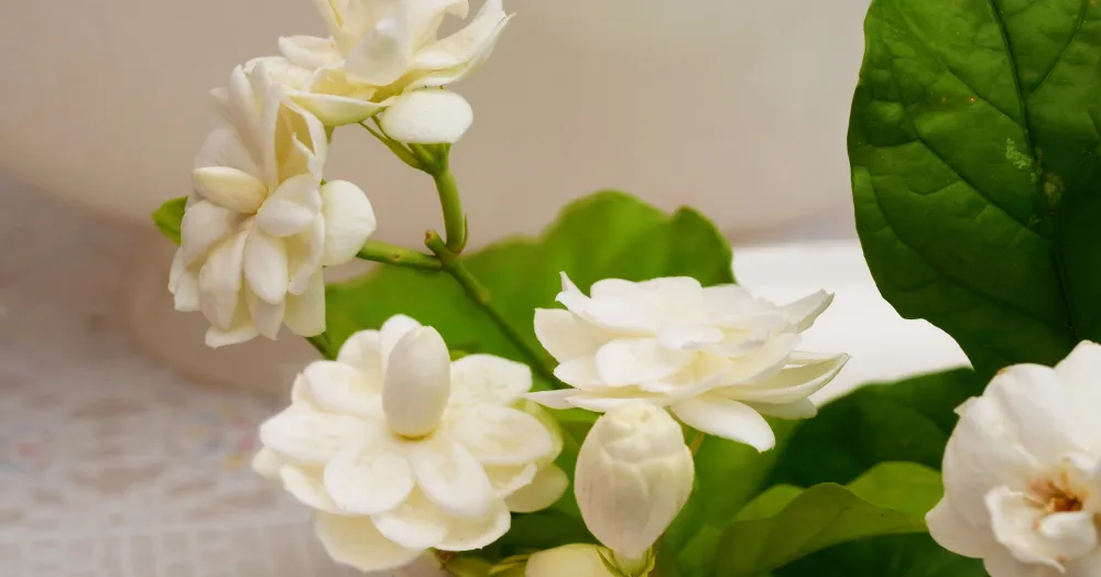 Sights, sounds and smells that can help sell your 