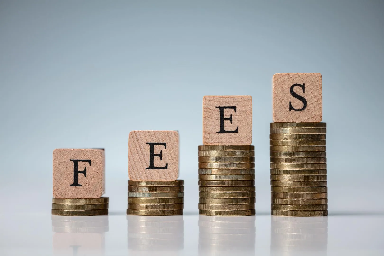 Cheap Fees are Worth Every Penny !