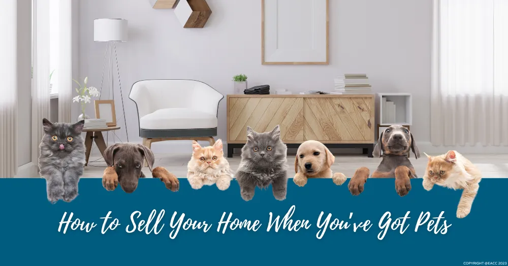 How to Sell Your Ealing & Northfields Home When You’ve Got Pets