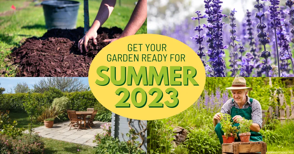Get Your Ealing & Northfields Garden Ready for Summer 2023