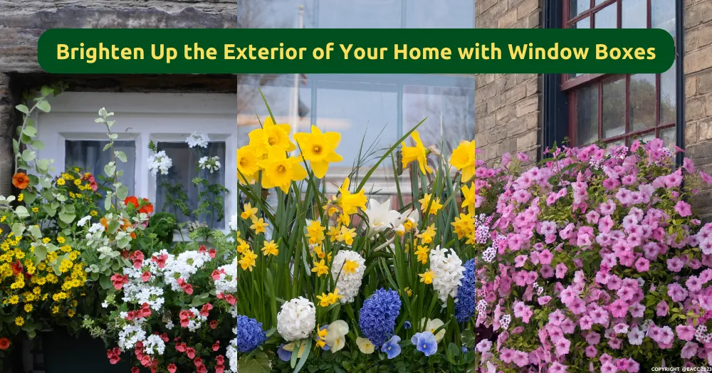 Brighten Up the Exterior of Your Home with Window Boxes