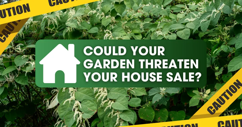 Could Your Ealing & Northfields Garden Threaten Your House Sale?