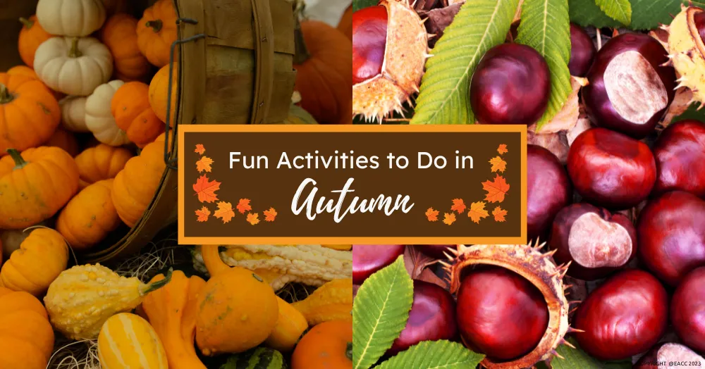 Fun Activities to Do in Ealing & Northfields in Autumn
