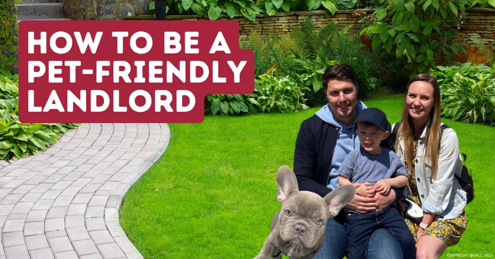 How to Be a Pet-Friendly Landlord in Ealing & Northfields