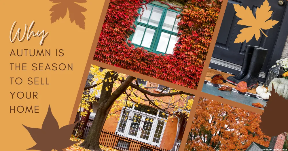Why Autumn is the Season to Sell Your Ealing and Northfields Home