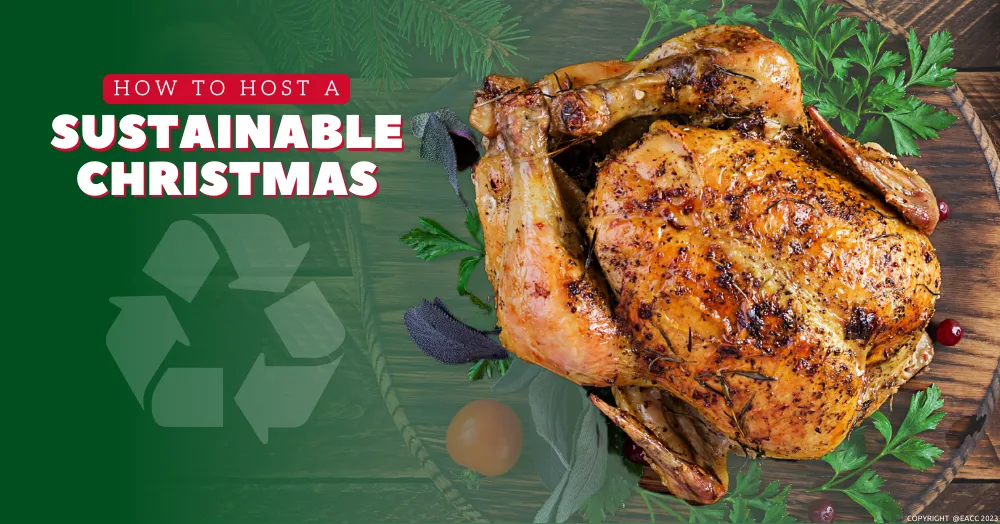 How to Host a Sustainable Christmas Celebration at Your Ealing, Northfields & Hanwell Home