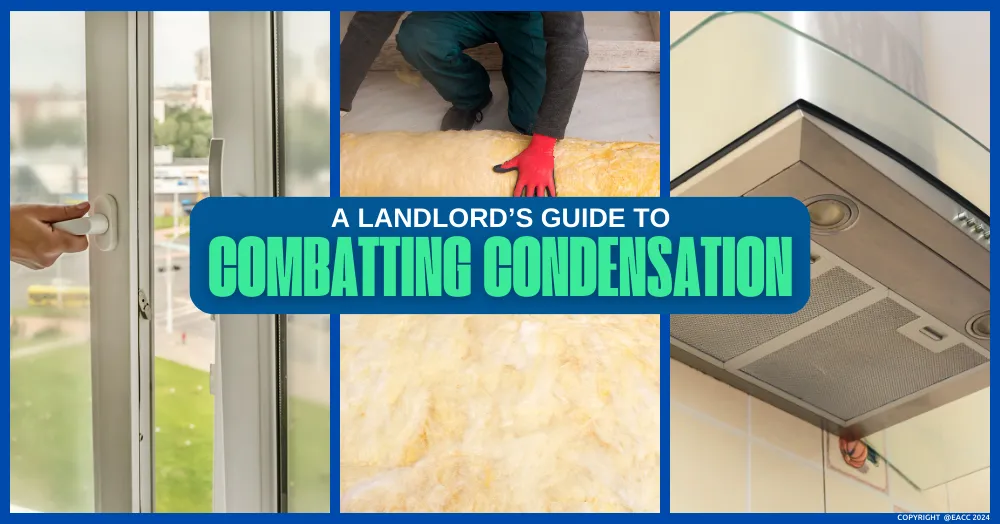 An Ealing, Northfields & Hanwell Landlord’s Guide to Combatting Condensation