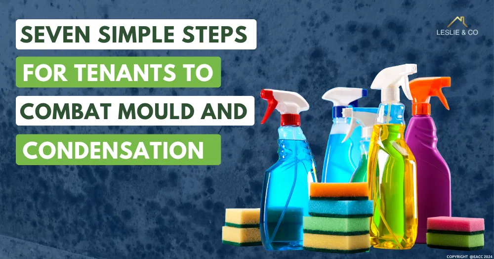 Seven Simple Steps for Ealing, Northfields & Hanwell Tenants to Combat Mould and Condensation