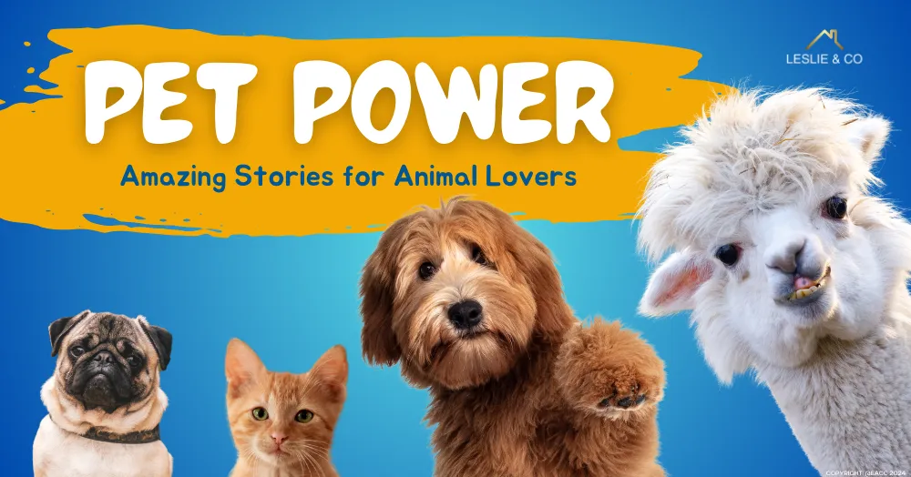 Pet Power: Four Amazing Stories for Ealing, Northfields & Hanwell Animal Lovers