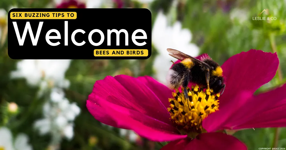 Six Buzzing Tips to Welcome Bees and Birds in Ealing, Northfields & Hanwell