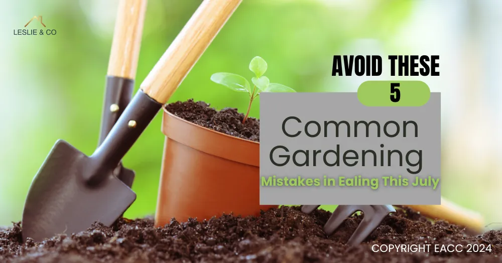 Avoid These Five Common Gardening Mistakes in Ealing This July