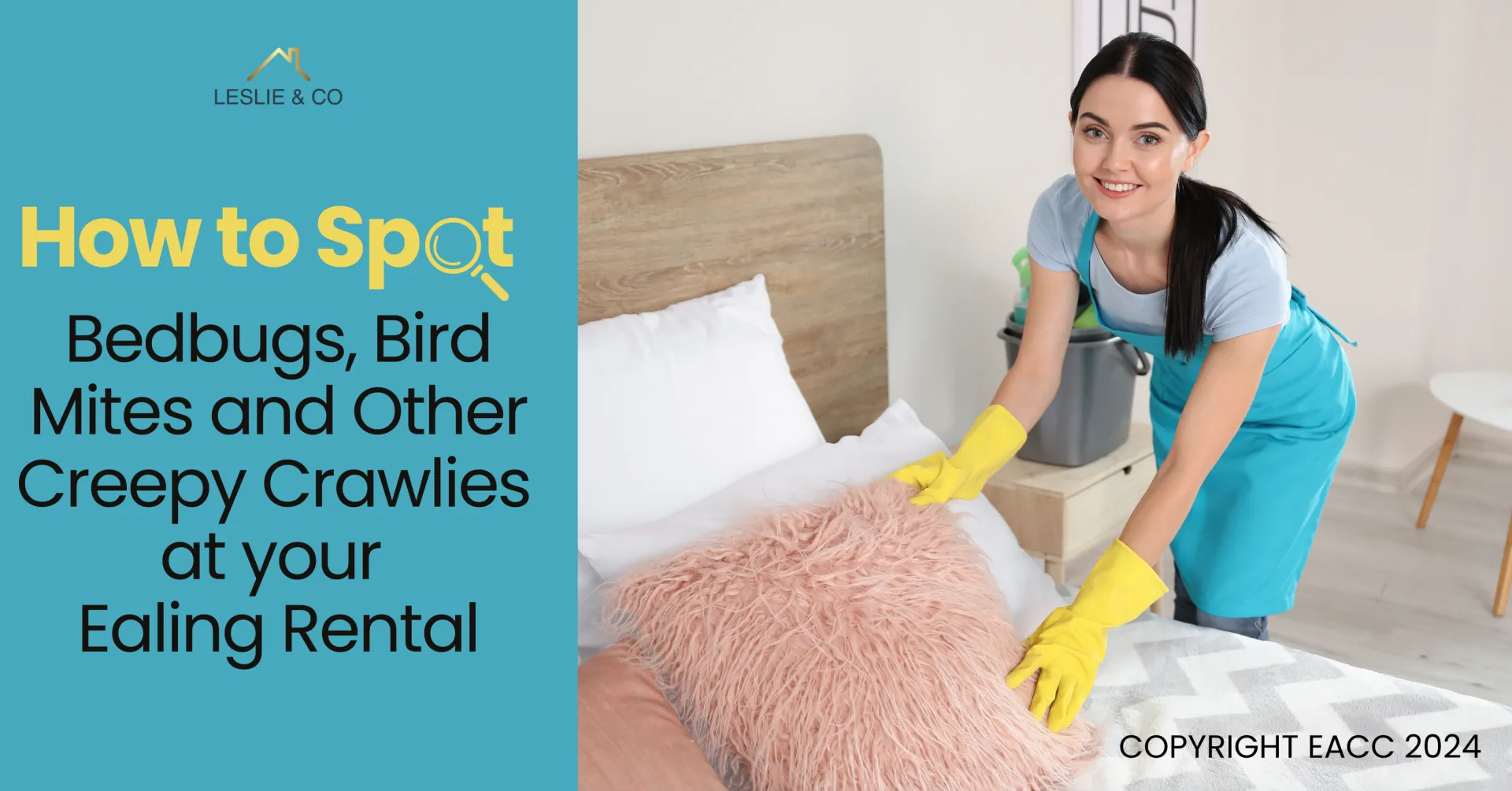 How to Spot Bedbugs, Bird Mites and Other Creepy Crawlies at your Ealing Rental