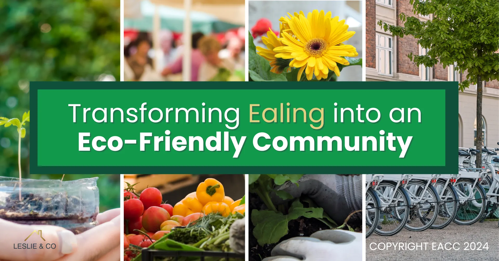 Transforming Ealing into an Eco-Friendly Community