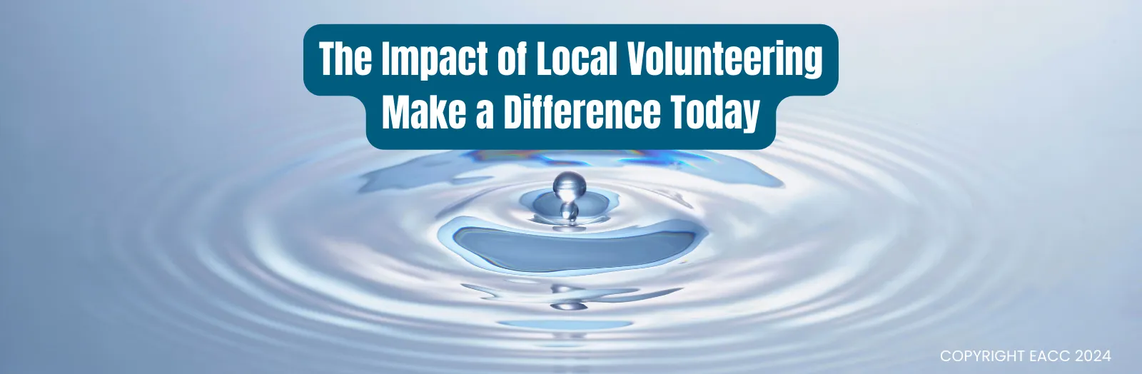 The Impact of Local Volunteering in London: Make a Difference Today  
