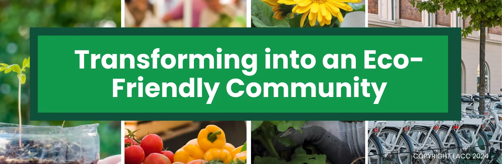 Transforming London into an Eco-Friendly Community