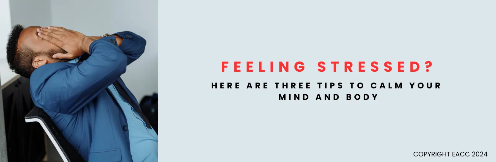 Feeling Stressed? Here Are Three Tips to Calm Your Mind and Body 