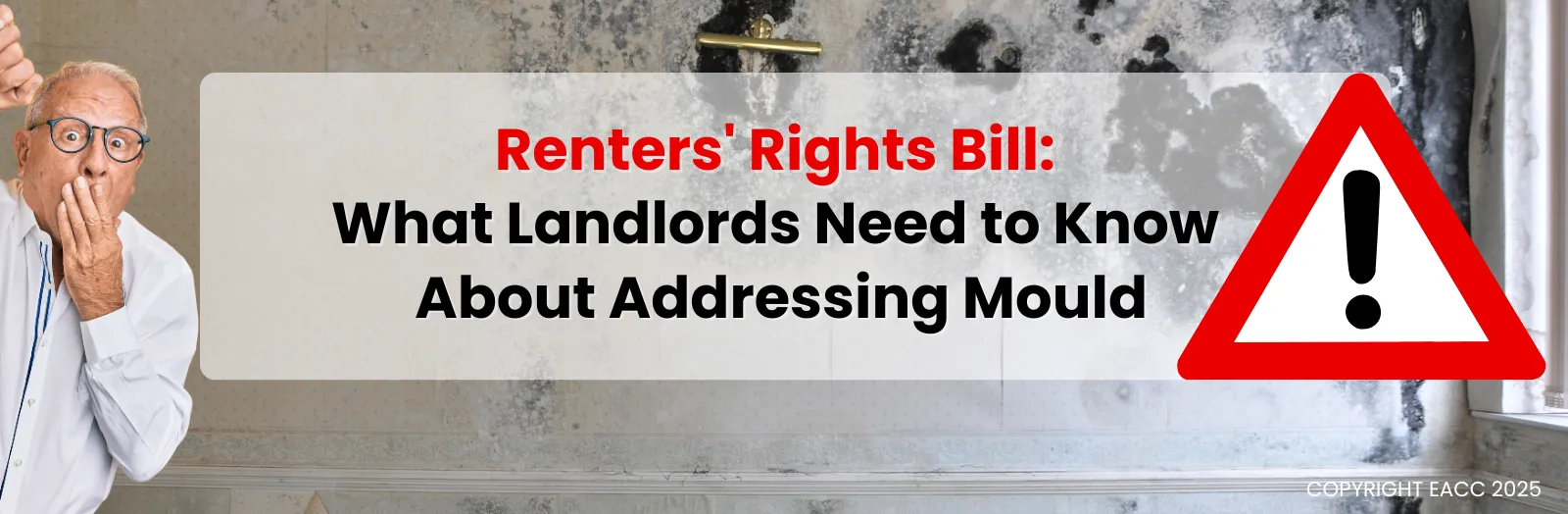 Renters’ Rights Bill: What London Landlords Need to Know About Addressing Mould