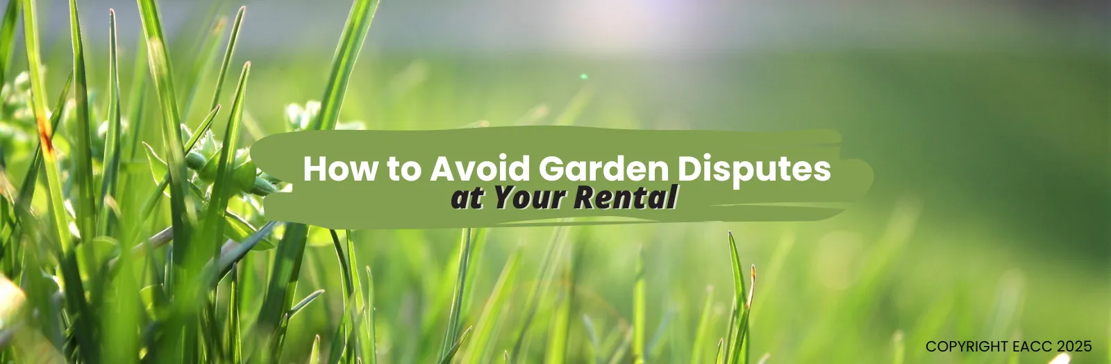 How to Avoid Garden Disputes at Your London Rental