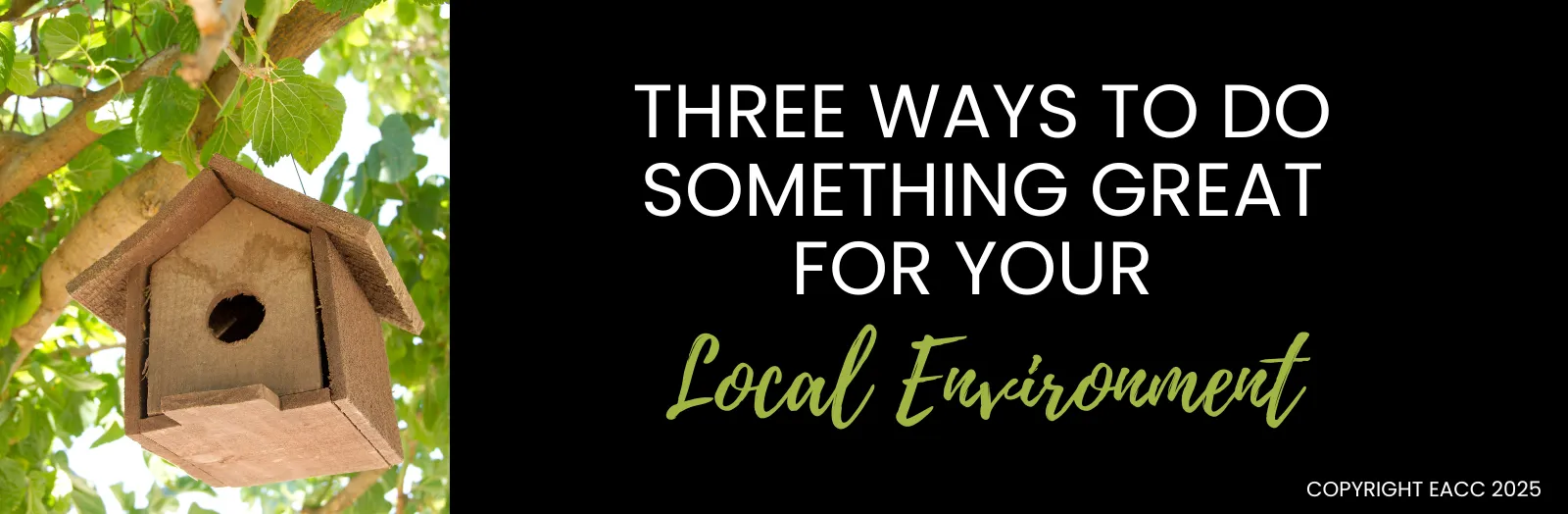 Three Ways to Do Something Great for Your Local Environment