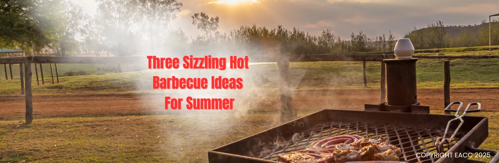 Three Sizzling Hot Barbecue Ideas for Summer