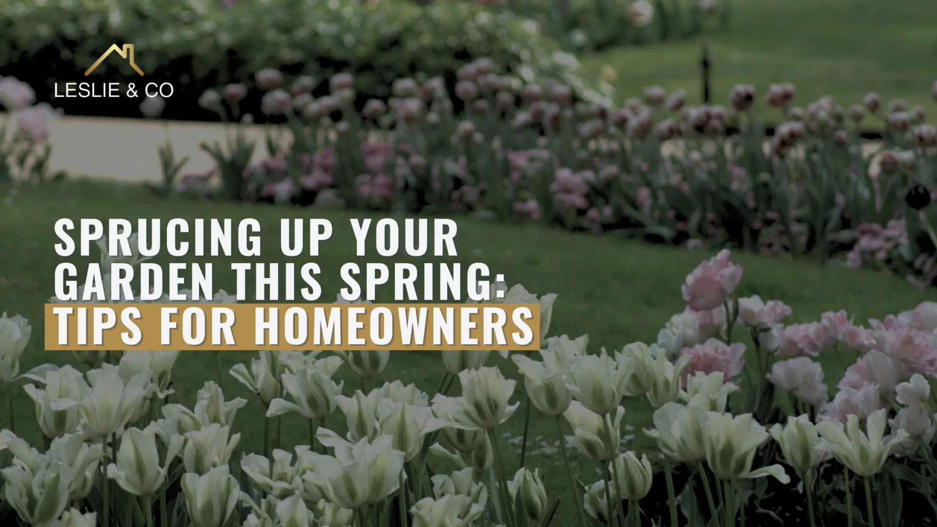 Sprucing Up Your Garden This Spring: Tips for Ealing Homeowners