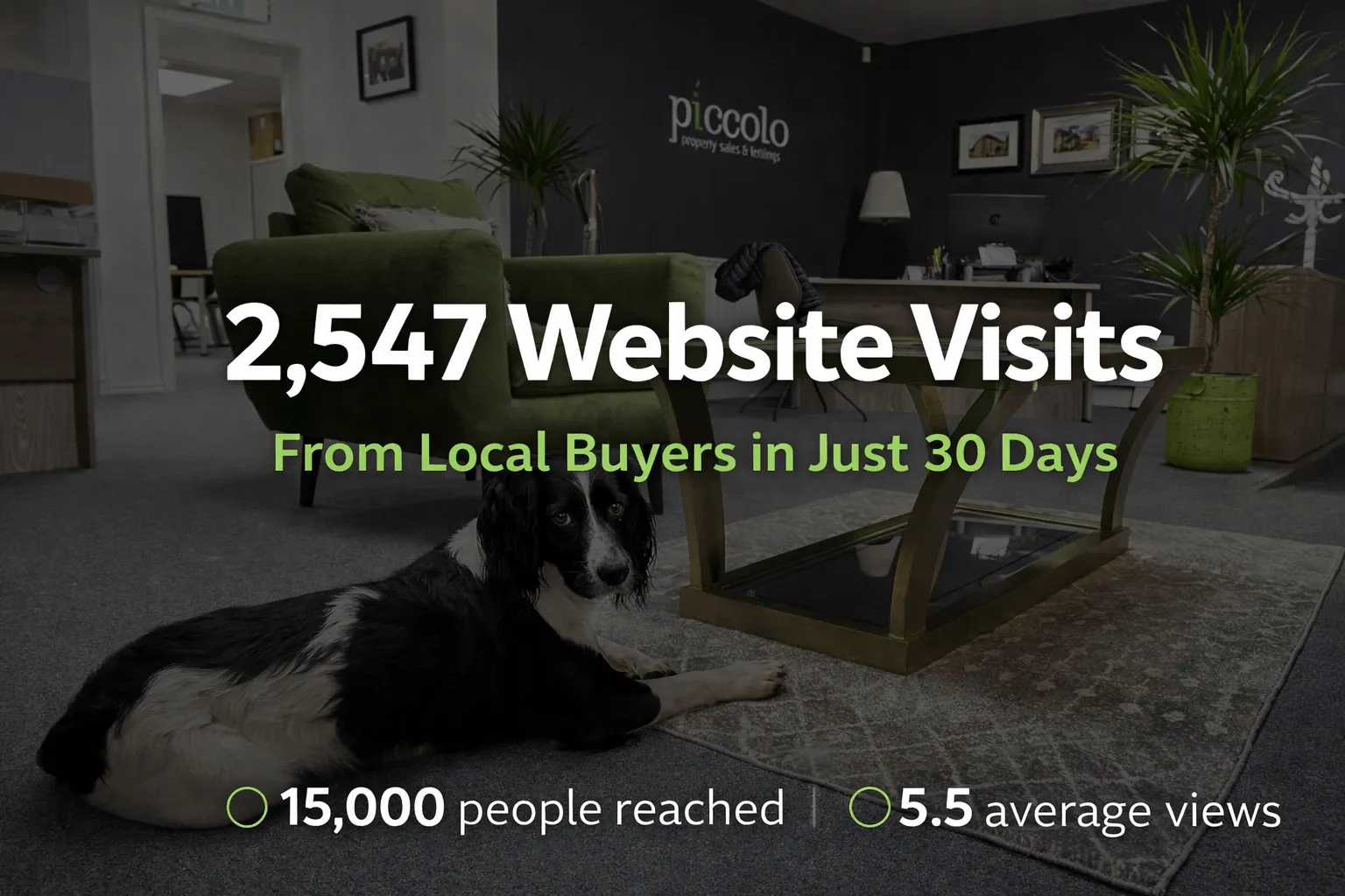 How Piccolo Property Built Consistent Visibility