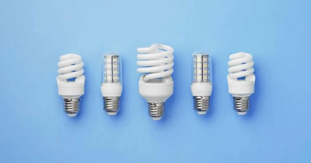 Support a healthier planet with these 8 environmen