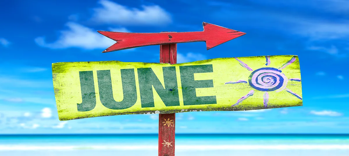 June 2020 - Market Comment