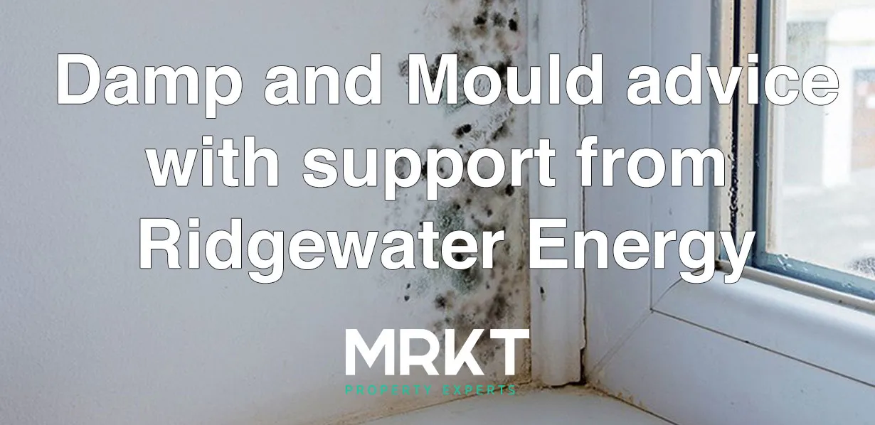 Damp and mould advice for landlords & tenants!