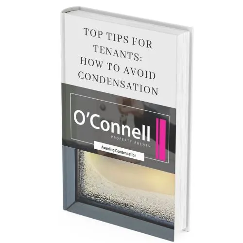 Condensation - E Guide 