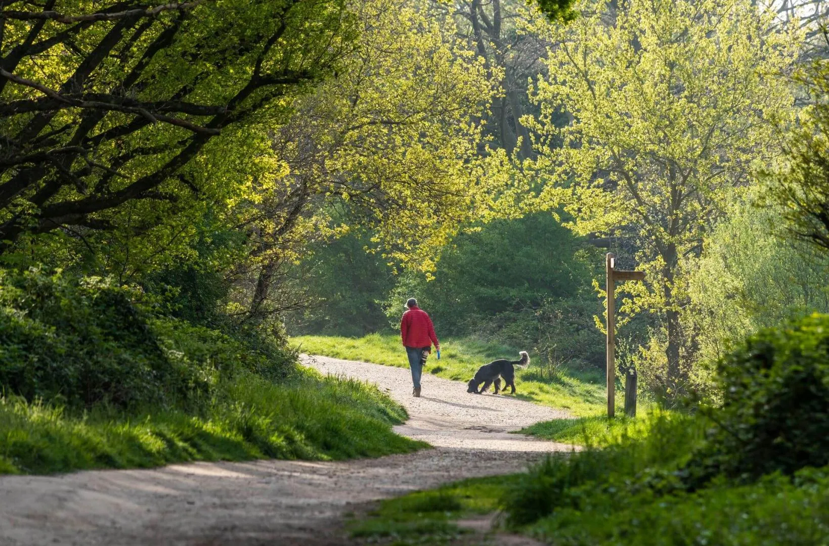 Area Guides for Guide to Wanstead (7)