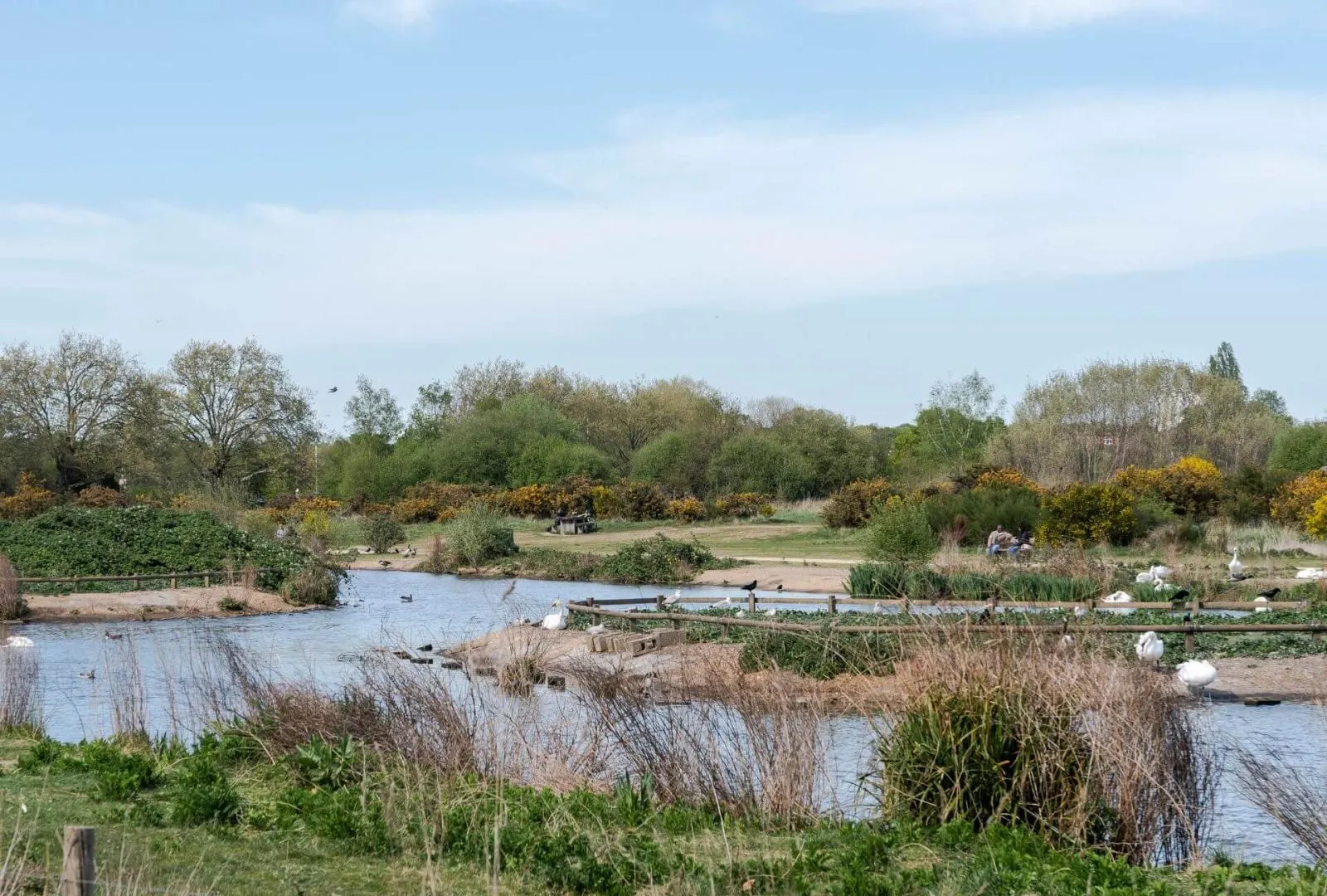 Area Guide for Guide to Forest Gate