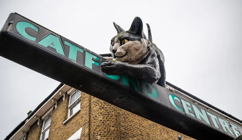 Area Guide for Catford