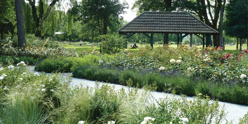 Area Guide for Purley & Riddlesdown