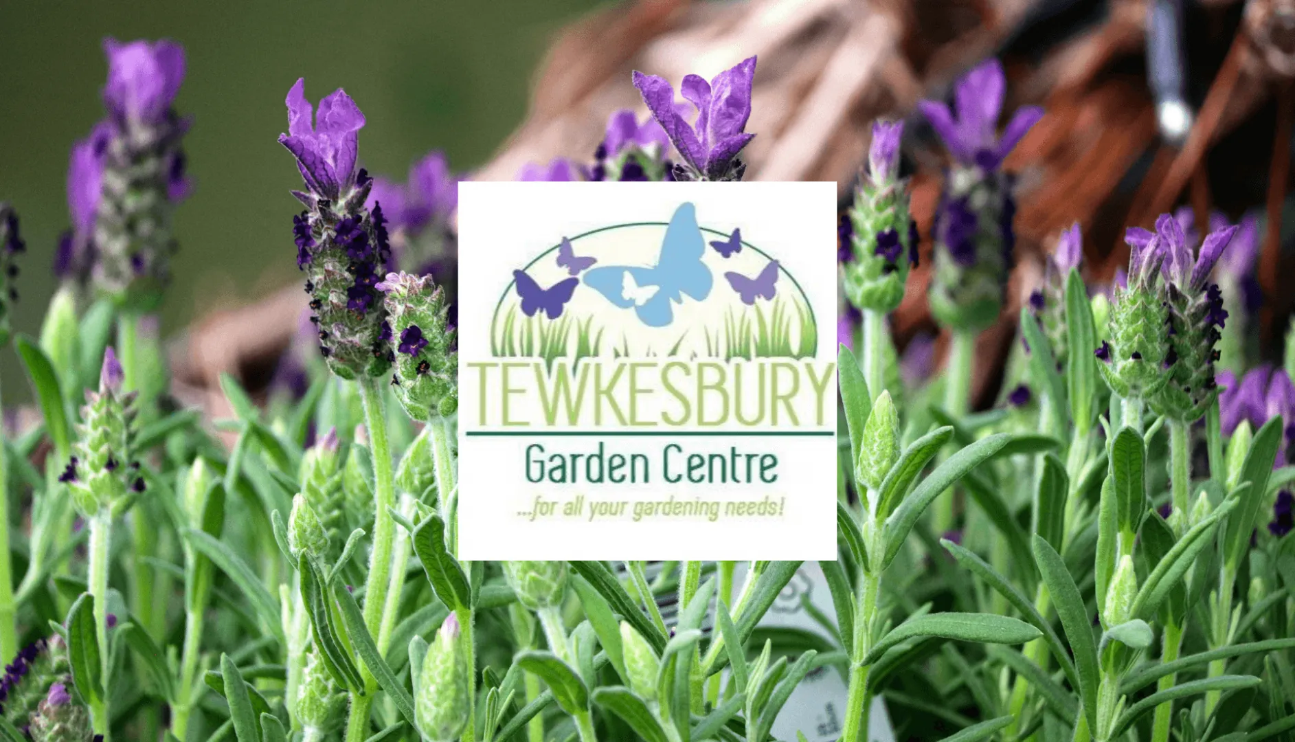 Tewkesbury Garden Centre in Tewkesbury