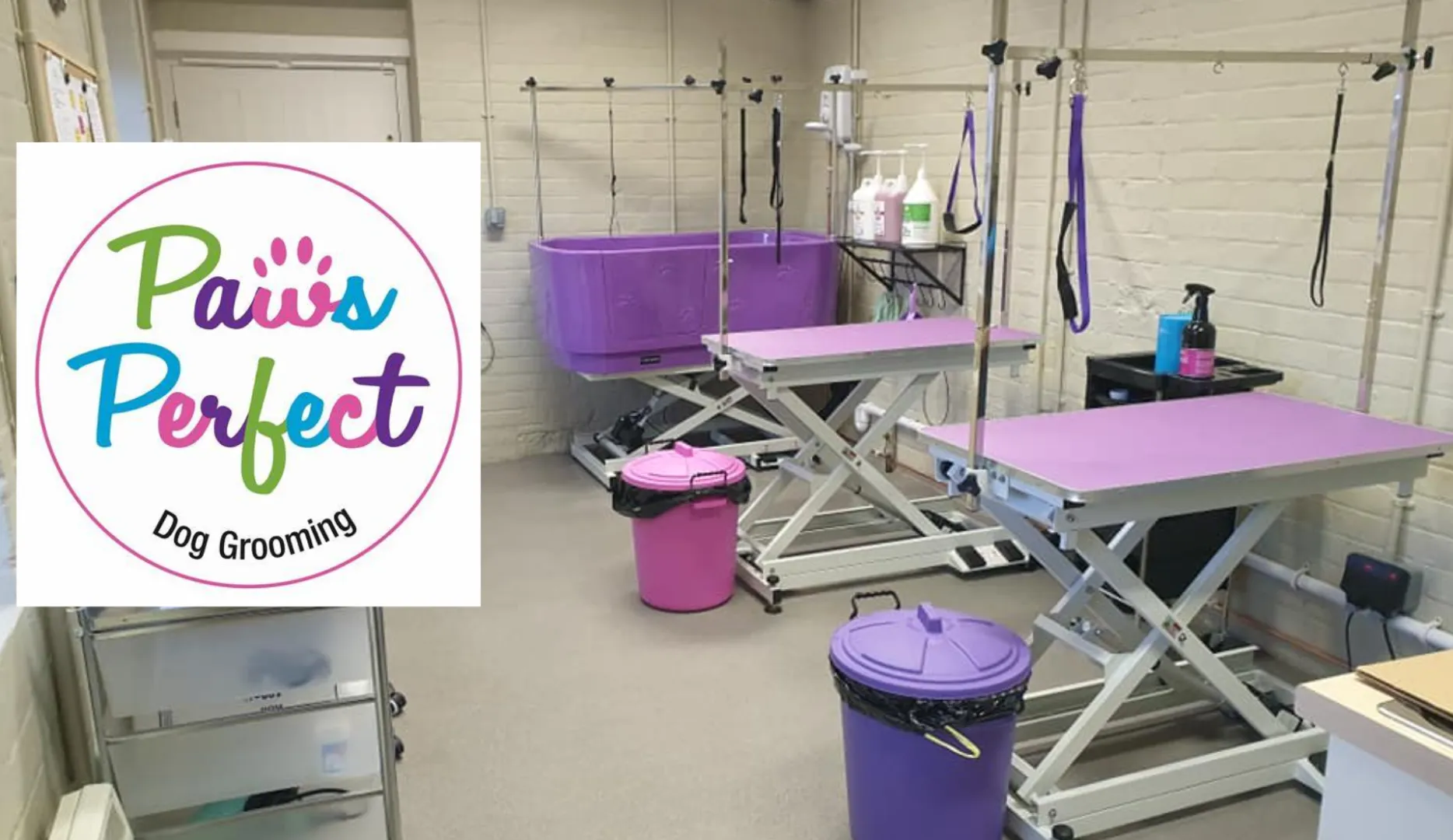 Paws Perfect Dog Grooming in Tewkesbury (1)
