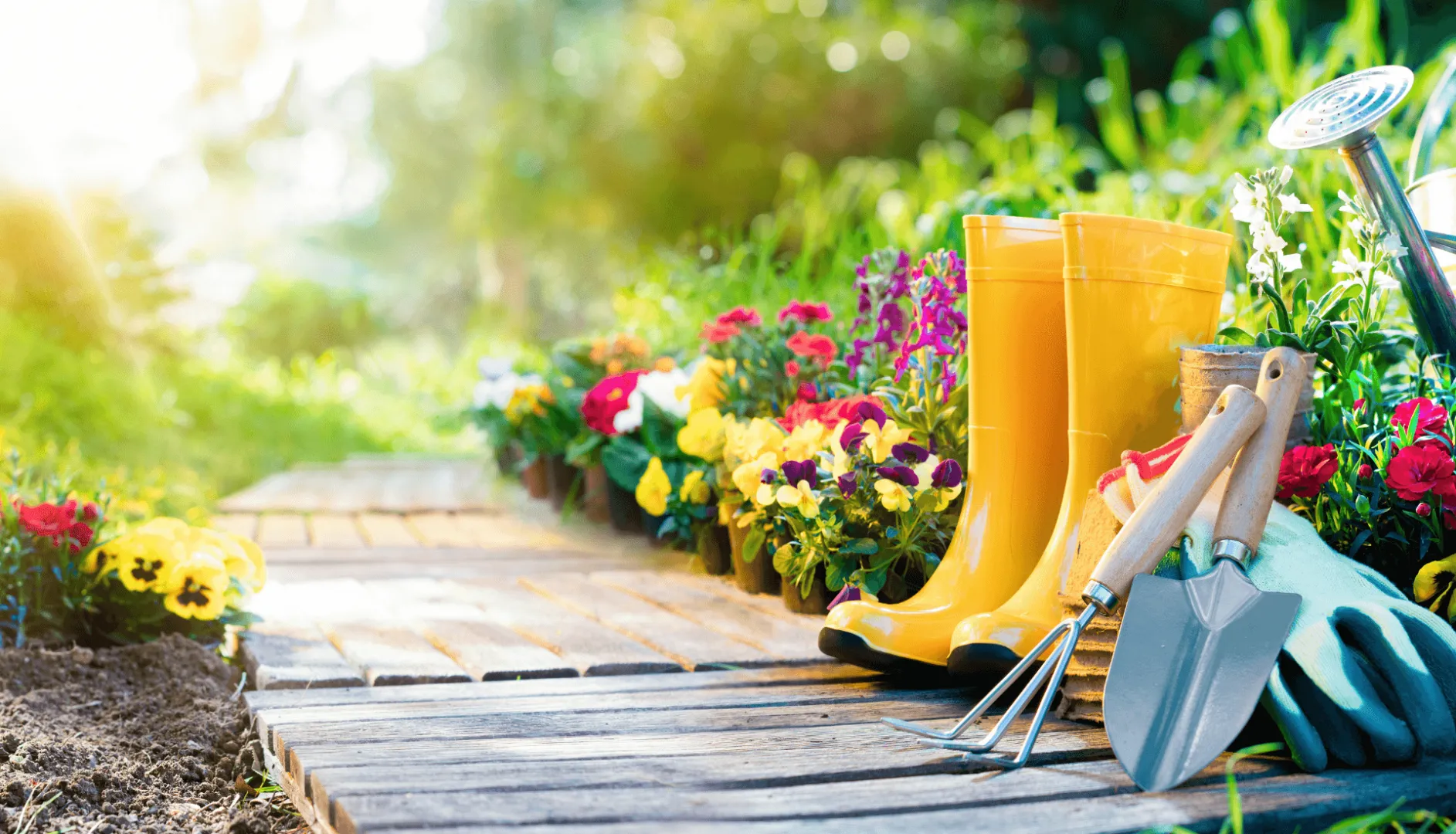 Landscapers & Gardeners in Gloucester