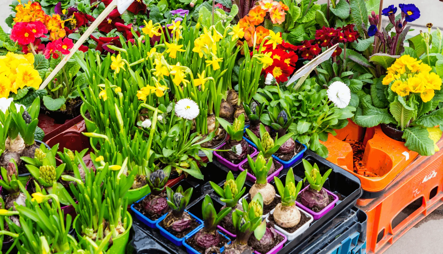 Garden Centres in Gloucester