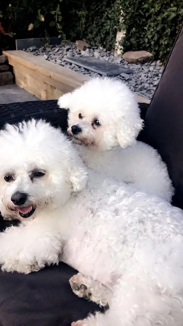 Dolly and Dotty